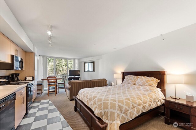 bedroom featuring light colored carpet and rail lighting