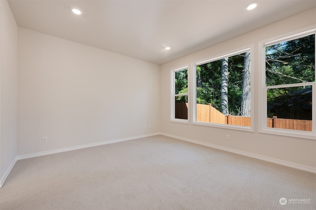 empty room featuring carpet floors