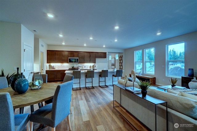 living room featuring light hardwood / wood-style floors