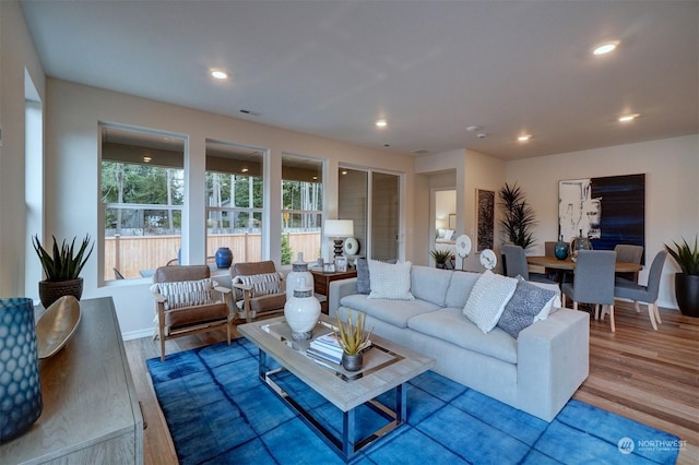 living room featuring wood-type flooring