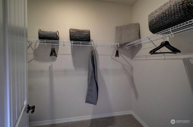 spacious closet with carpet