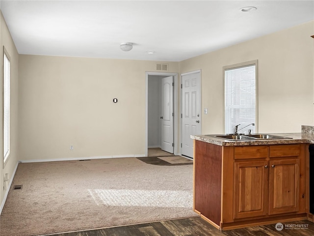 kitchen with carpet floors and sink