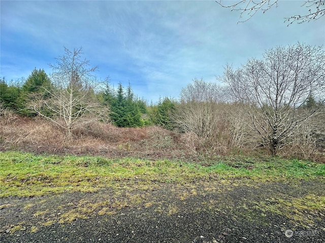 Listing photo 2 for 0 Alpine Ln, Hoquiam WA 98550