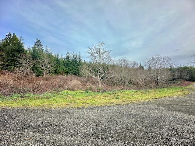 Listing photo 3 for 0 Alpine Ln, Hoquiam WA 98550