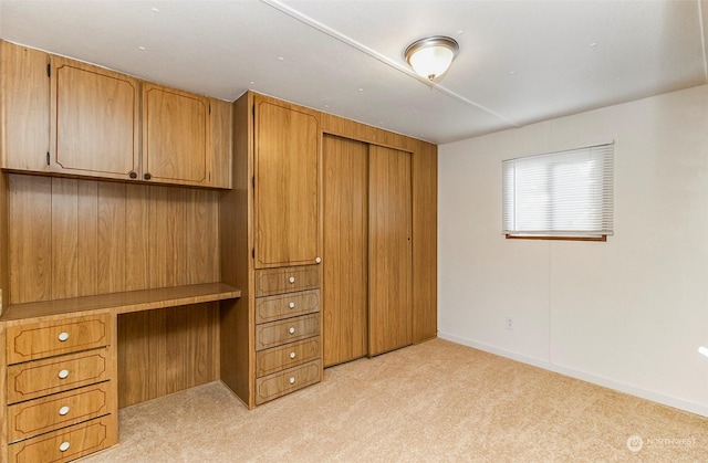 unfurnished office featuring light colored carpet