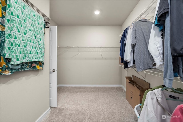 spacious closet featuring carpet flooring