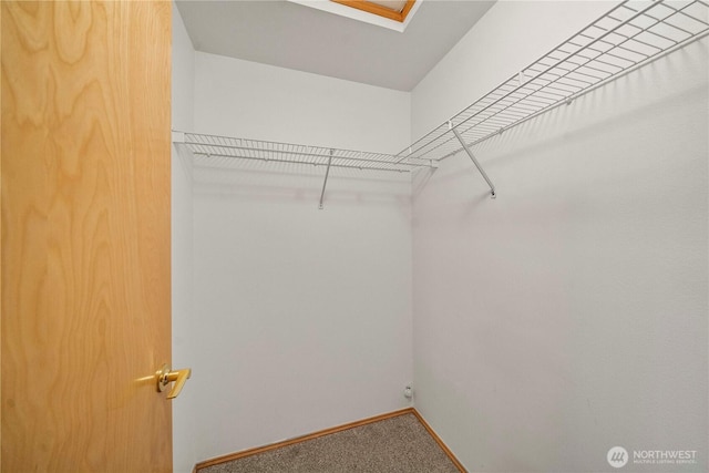 spacious closet featuring carpet