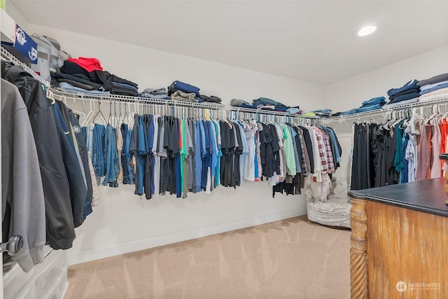 spacious closet featuring carpet flooring