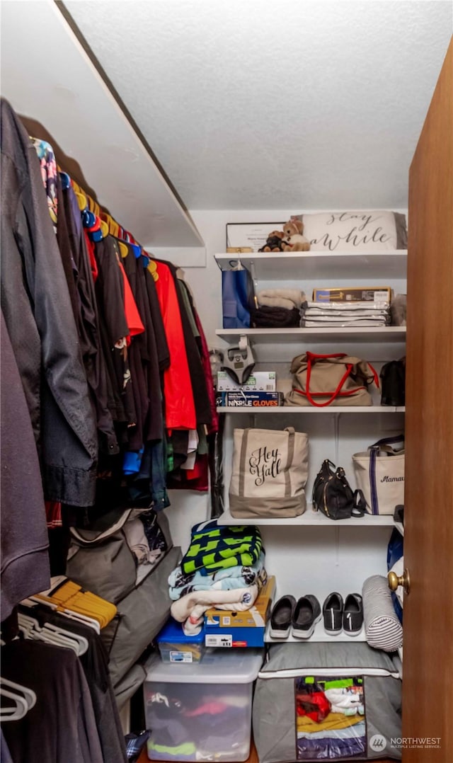 view of walk in closet