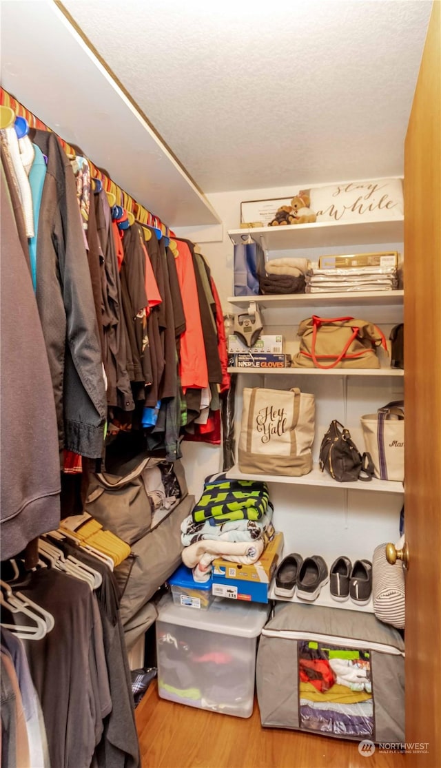 walk in closet featuring wood-type flooring