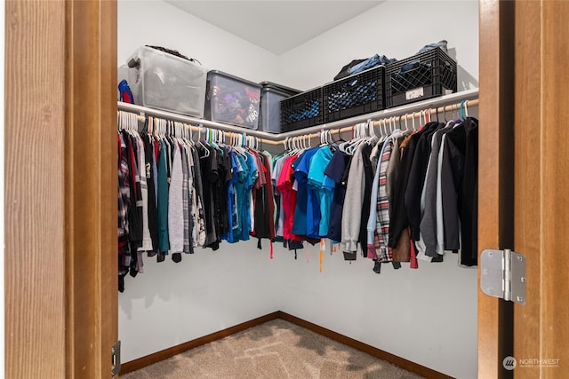 walk in closet featuring carpet flooring