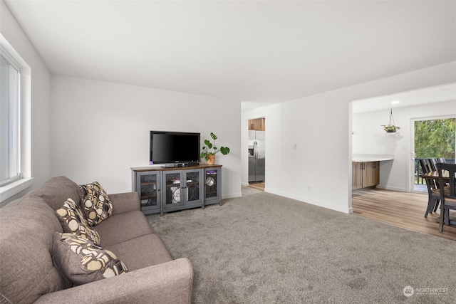 living room featuring light colored carpet