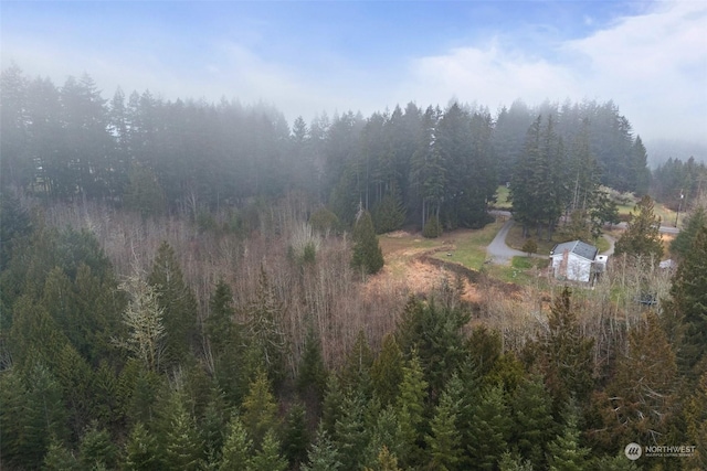 aerial view with a forest view