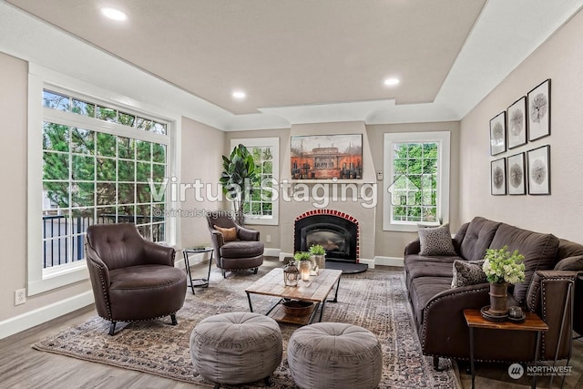 living room with hardwood / wood-style flooring