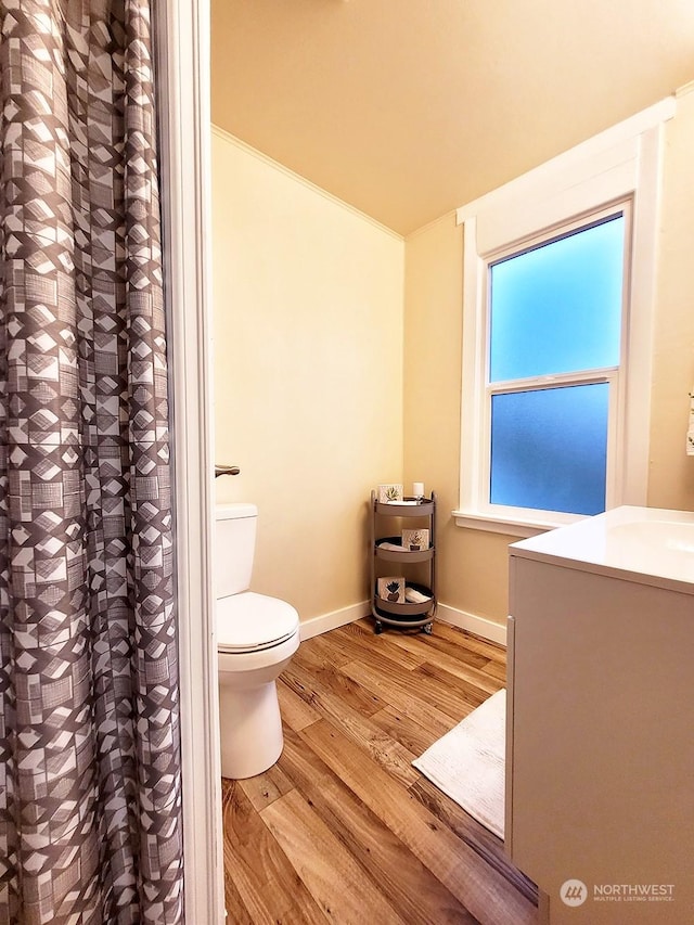 bathroom with wood-type flooring and toilet