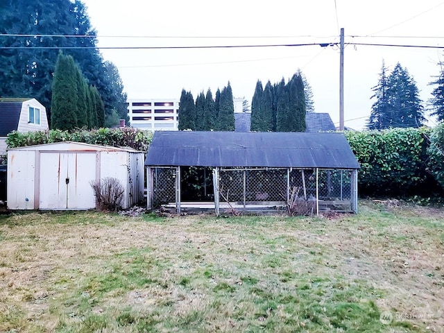 back of house featuring a storage shed and a yard