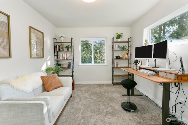 carpeted office space featuring a healthy amount of sunlight