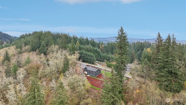 drone / aerial view featuring a mountain view