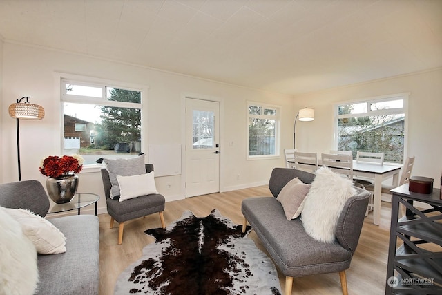 living room with light hardwood / wood-style flooring