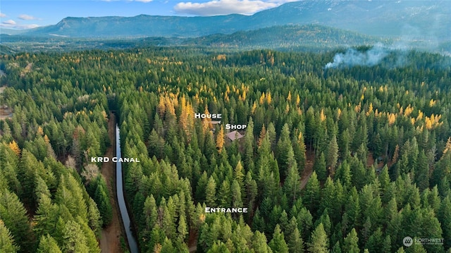 aerial view with a mountain view and a view of trees