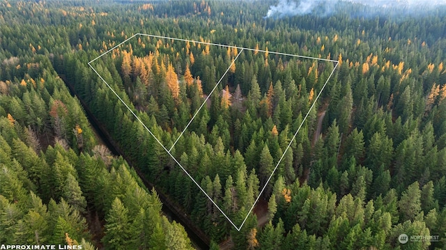 aerial view featuring a wooded view