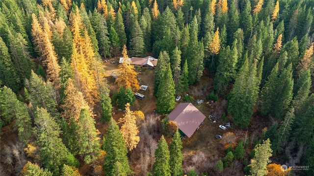 800 Koinonia Ln, Cle Elum, WA 98922 - photo 7
