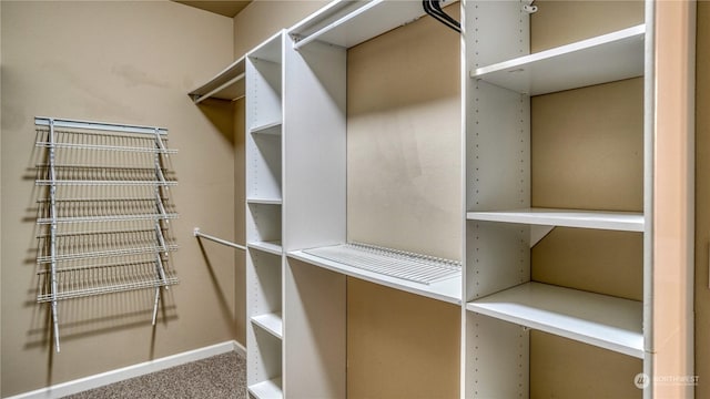 spacious closet featuring carpet