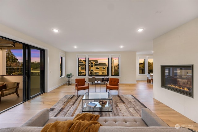 living room with a fireplace and light hardwood / wood-style flooring