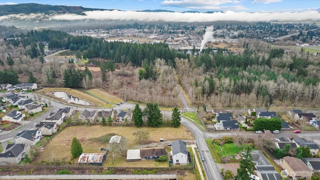 136XX 191st Ave, Monroe, WA 98272 - photo 4
