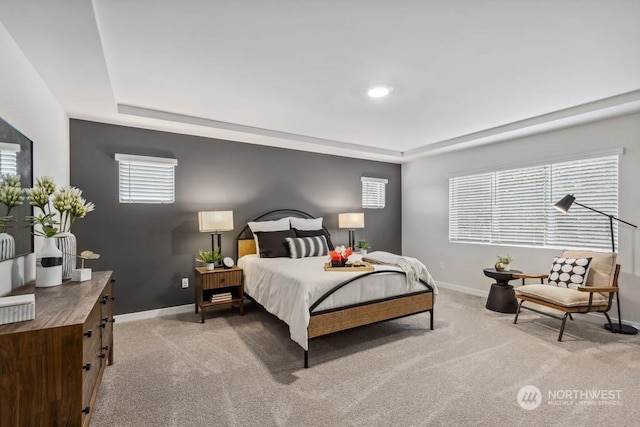 carpeted bedroom featuring a tray ceiling