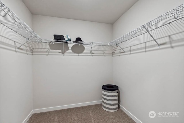 spacious closet with carpet floors