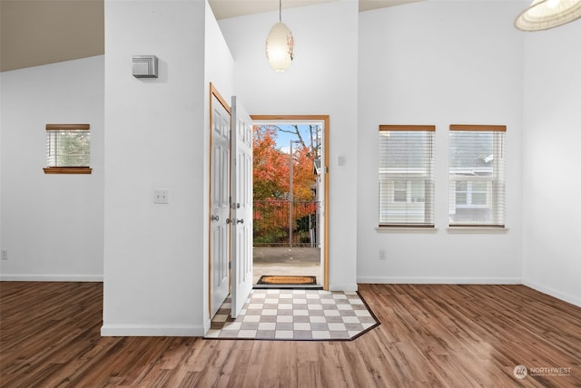 entryway featuring hardwood / wood-style flooring and a wealth of natural light