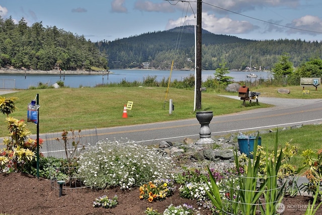 exterior space featuring a view of trees, a lawn, and a water view