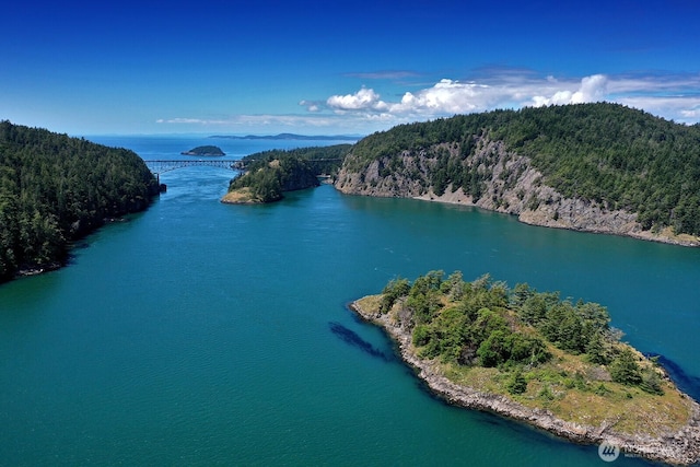 bird's eye view with a view of trees and a water view