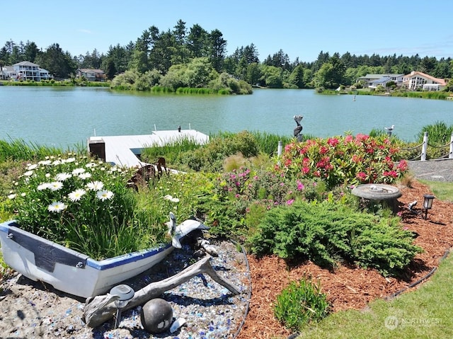 water view featuring a dock