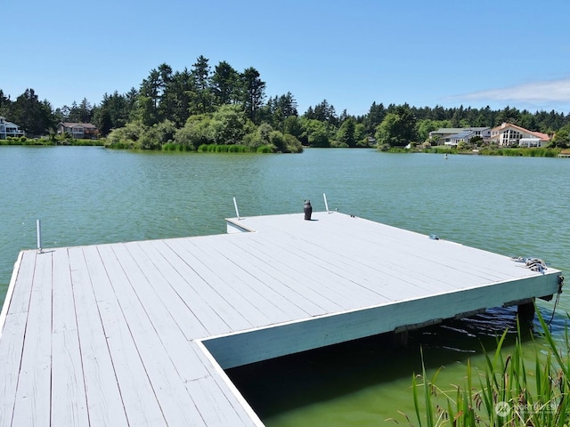 view of dock with a water view