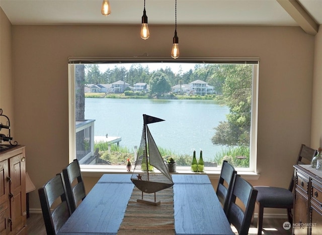 dining room featuring hardwood / wood-style floors, plenty of natural light, and a water view