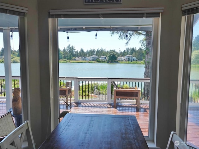 entryway with a wealth of natural light and a water view