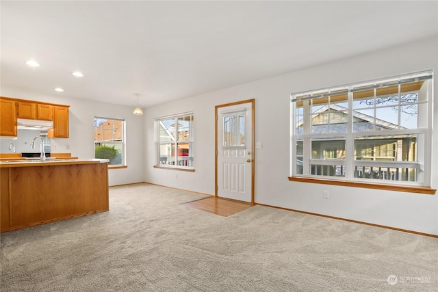 unfurnished living room with light carpet and sink