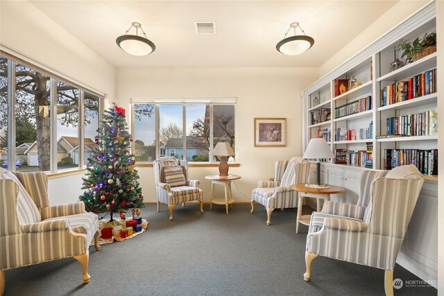 sitting room featuring carpet floors