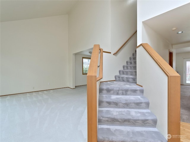 staircase with carpet flooring