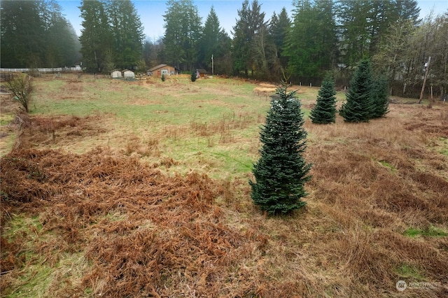 view of yard featuring a rural view