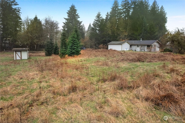 view of yard with a storage unit