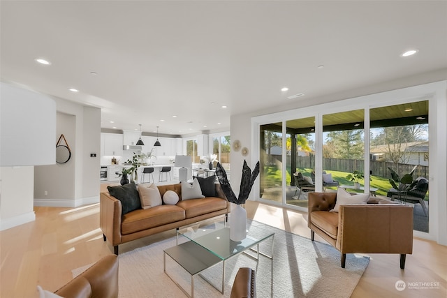 living room with light hardwood / wood-style flooring