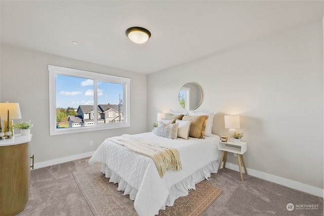 bedroom with carpet flooring