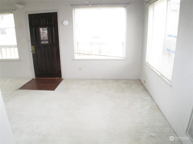 view of carpeted entrance foyer