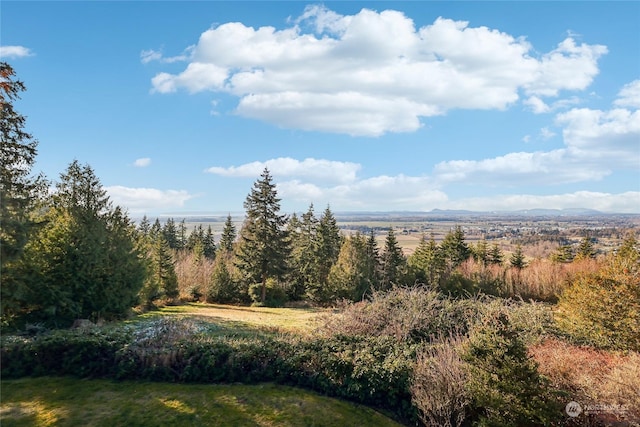 view of local wilderness