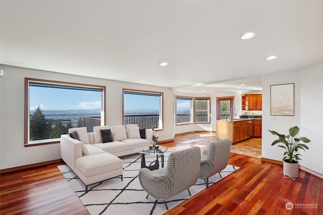 living room featuring light hardwood / wood-style floors and sink