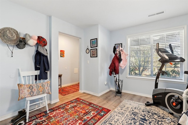 workout area featuring light hardwood / wood-style flooring