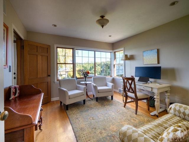 living room featuring light wood-type flooring